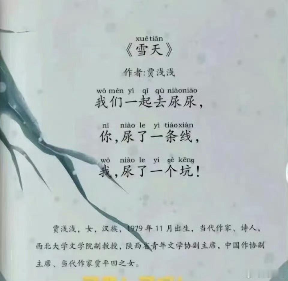 西北大学回应贾浅浅更改简历 《学历》你读一个博，我读一个博，你读的博深，我读的博