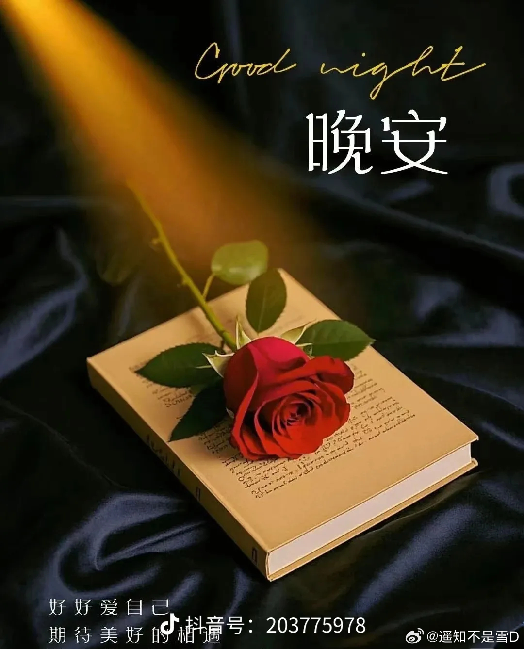 晚安 🕊👓让心随着夜色深沉，慢慢平静下来，祝你有个甜美的梦。晚安。 