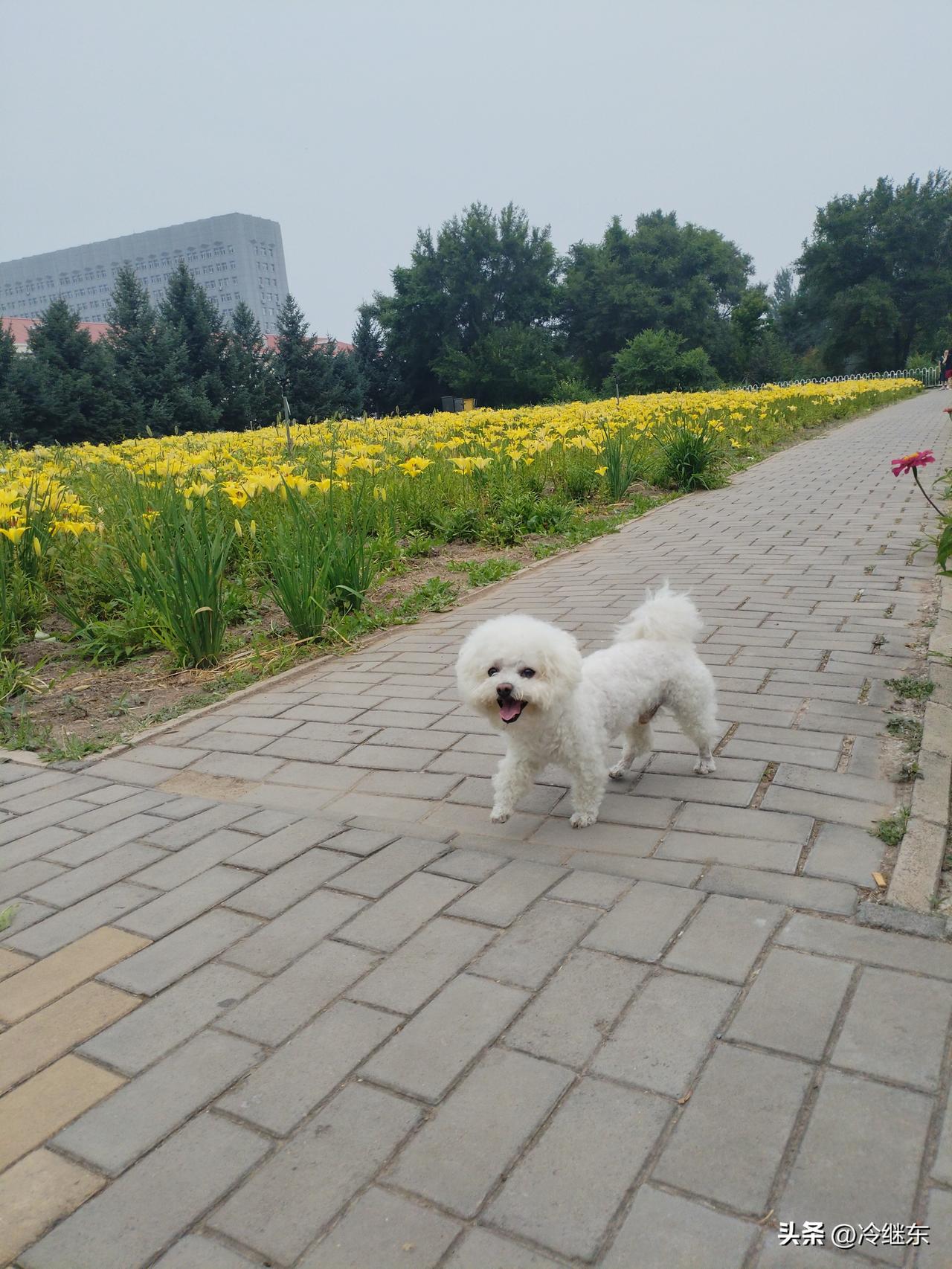 莫迪治理能力再强，也无法改变印度的卫生状况。
   一是印度实行种姓制度。那些高