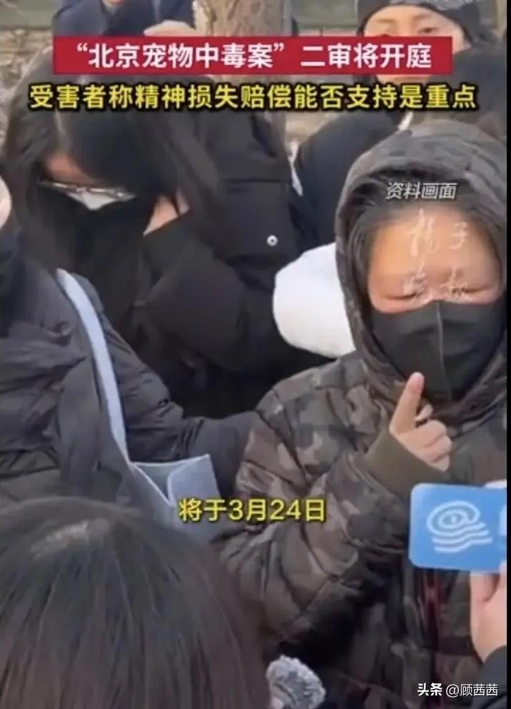 20万精神赔偿引热议！北京毒狗案二审今日开庭，伴侣动物价值到底该咋定？
 
北京