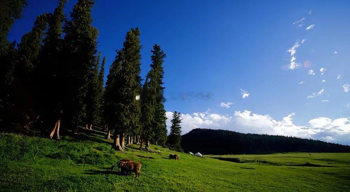 1月份不应错过的板块和个股：1、券商个股：中信证券、中银证券、国泰海通、东北证券