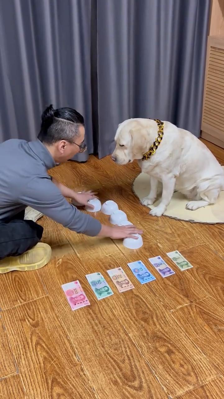 认钱大考验。
选吧。