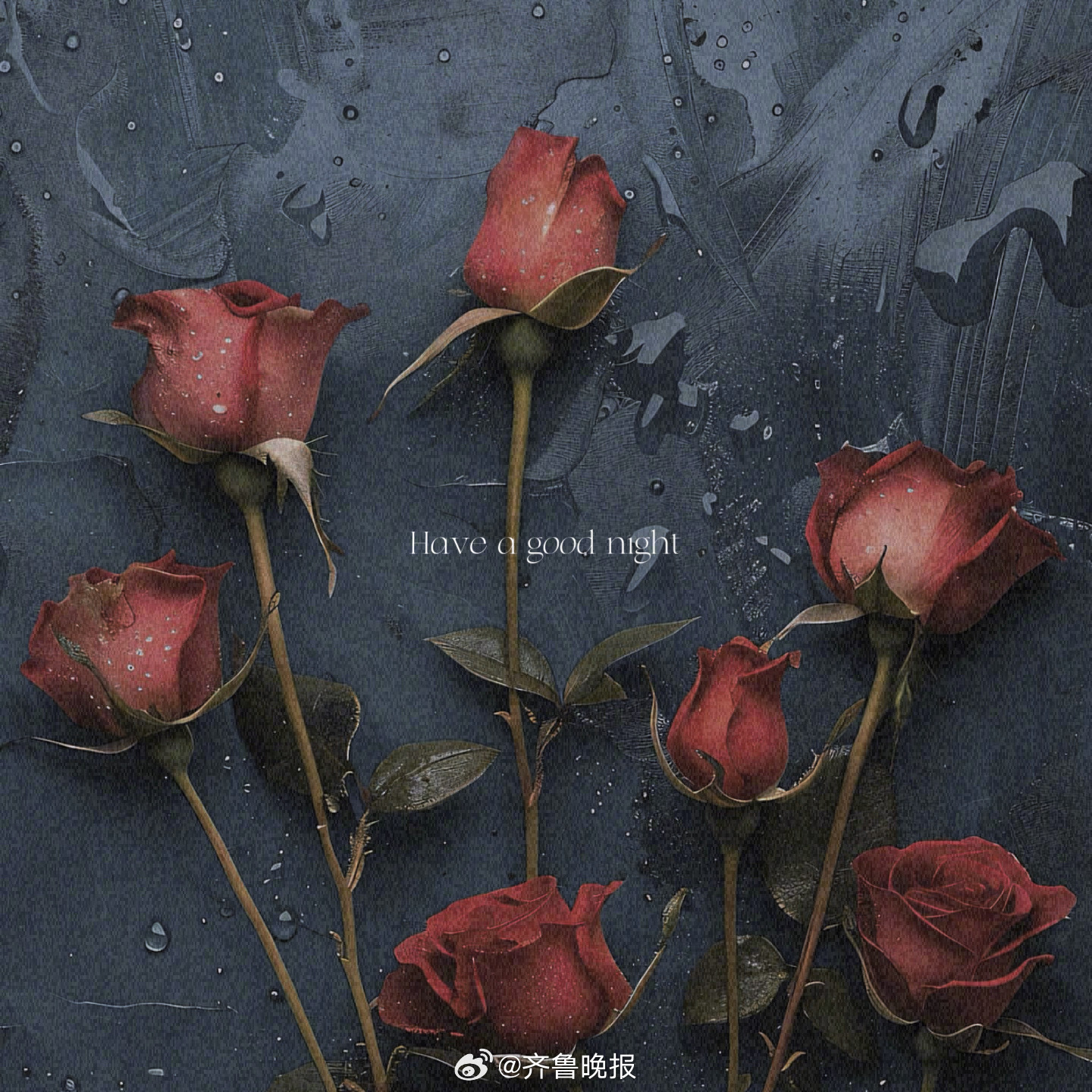 请把你的值得留给值得的人[月亮] #晚安# ​​​