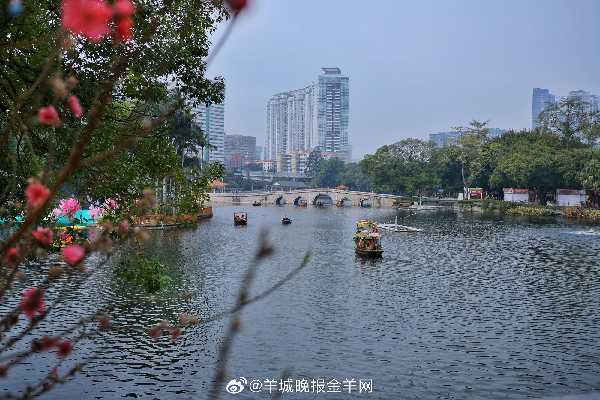 #早安#经历痛苦，是成长的必经之路。学会从中汲取经验，那么我们所经历的事、遇见的