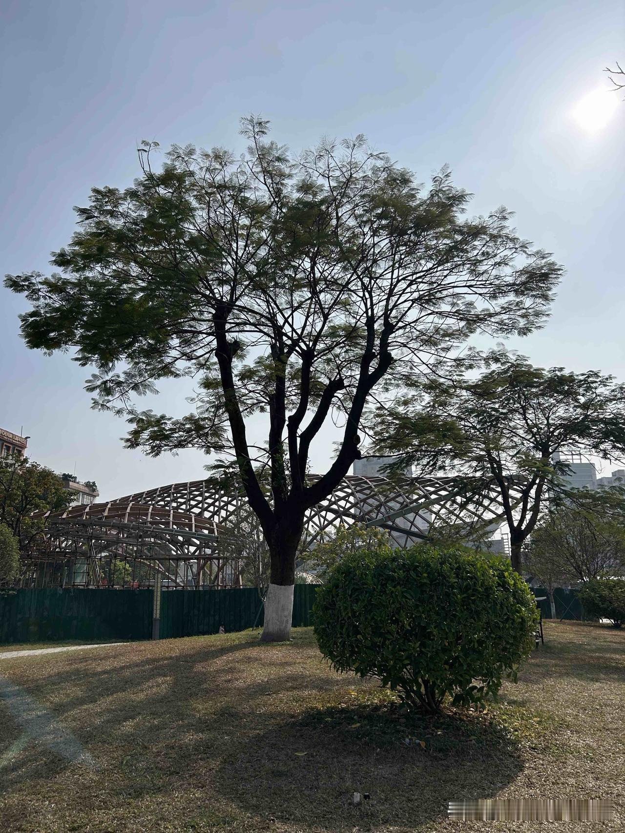 我有时候在想，如果这一辈子都结不了婚成不了家的话，

接下来的日子应该怎么去规划