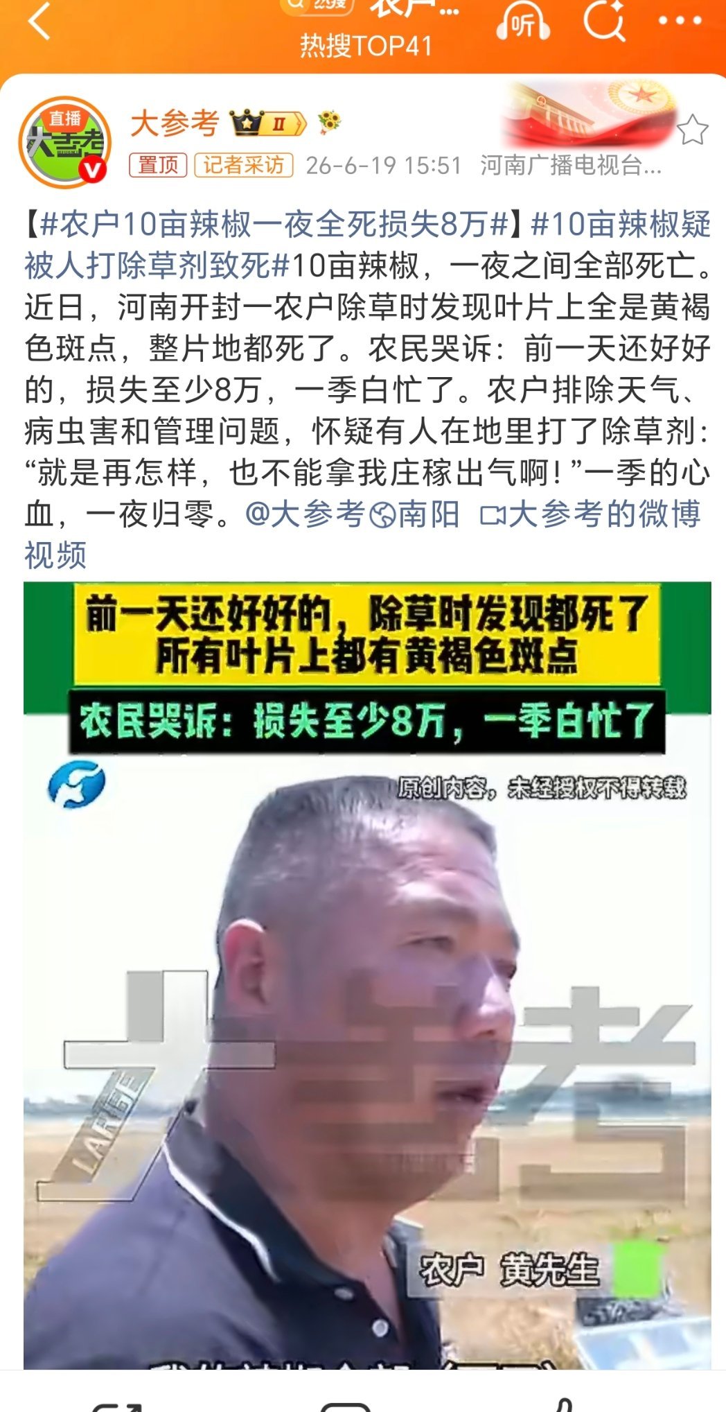 农户10亩辣椒一夜全死损失8万严查到底！