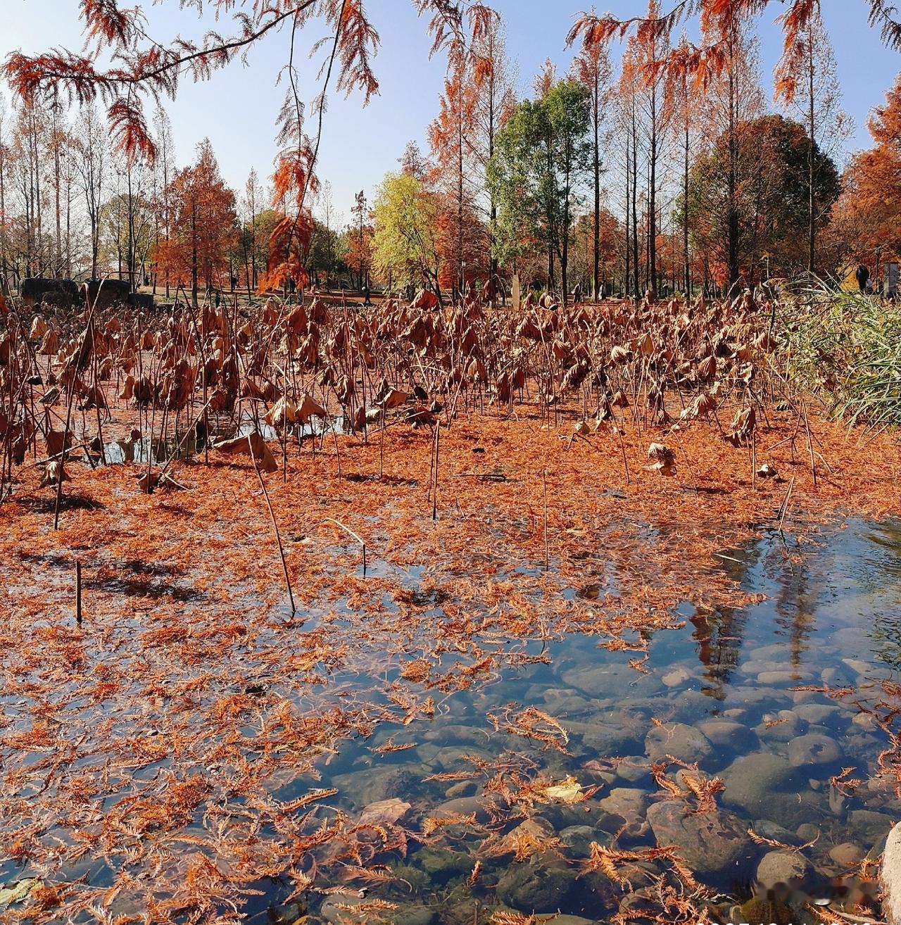 醒醒吧！

2023年，四川西充，大龄男女刚认识一个月就闪婚，两年后，女方因为宫