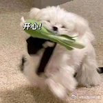 不会穿的可以看桃黑黑简约风才是永不过时的经典，桃黑黑把简约穿搭发挥到极致。一身战