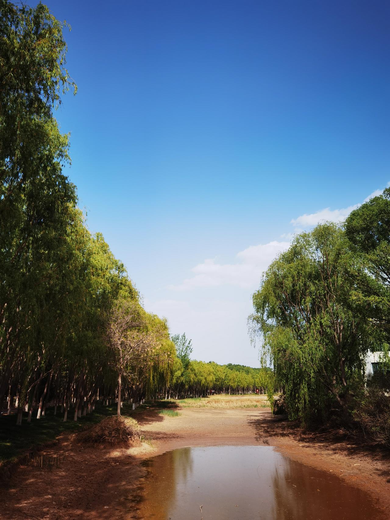 拍照的人这么多,如何拍出特色? 
拍照的人这么多，拍出的照片多如牛毛，可是好照片