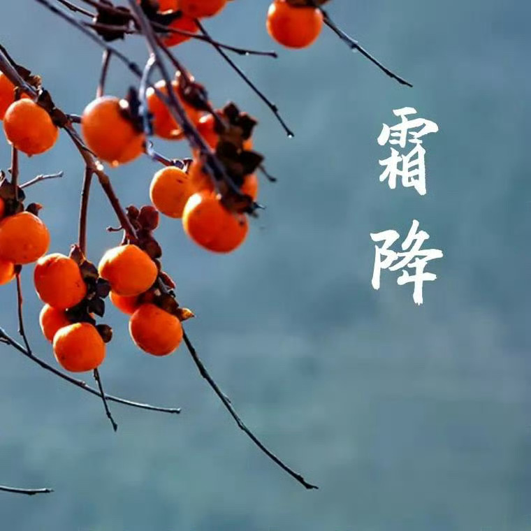 今天霜降，气温会大幅度下降，昼夜温差更大，霜降养生要“防风，防燥，防郁”。防风注