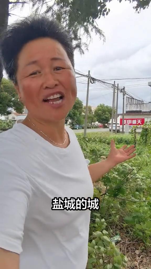 如果江苏的江是你温暖故乡，那么徐州的徐为你许下愿望，一句南通的南，世事不再为难。
