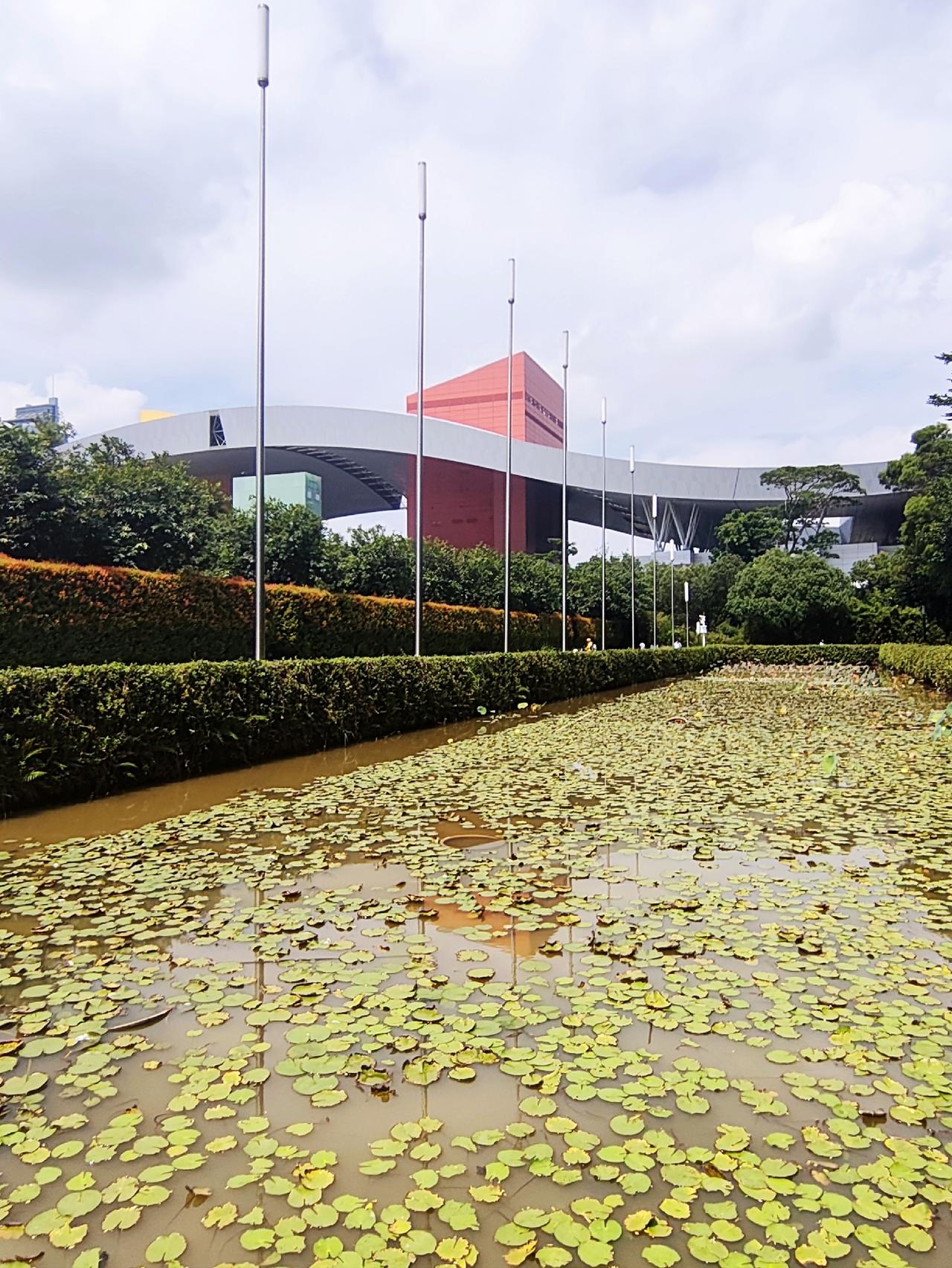 深圳福田，市民中心广场与深南大道间有一个小小的公园。这里植被茂密，清净幽美，有漂