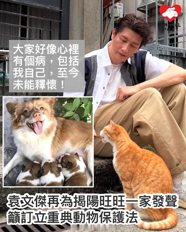 要爱护动物猫狗 「香港知名男藝人袁文杰 （）再為揭陽遇害狗媽媽一家發聲..籲訂立
