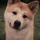 虹光热聚美女