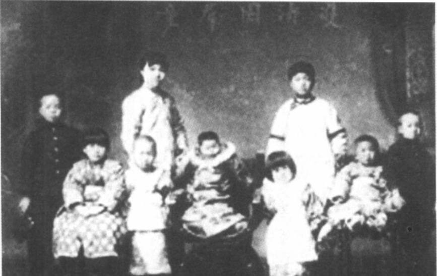 在1995年，梁启超与李蕙仙合葬墓前，梁家子女树立的衣冠冢究竟纪念的是何许人？