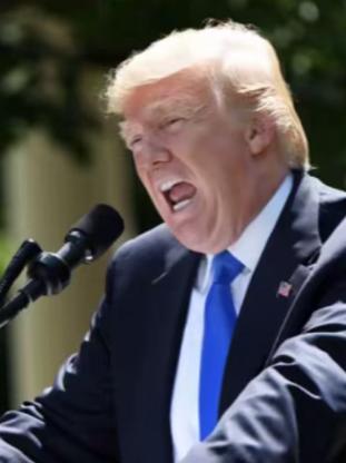 全世界70多亿人，或许都欠那个顶着一头金发的纽约老头一句“谢谢”。

不是因为他