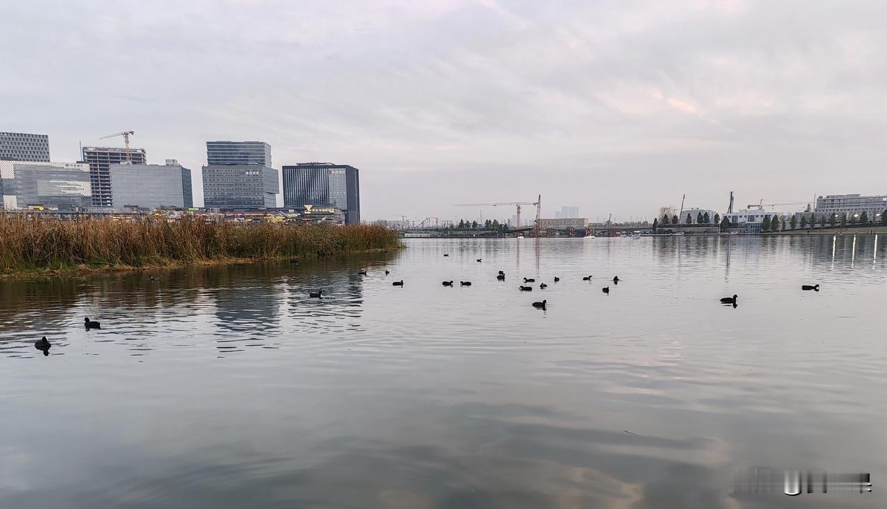 周末，来金融岛转转，
二七商圈已成过去，金融岛才是未来。