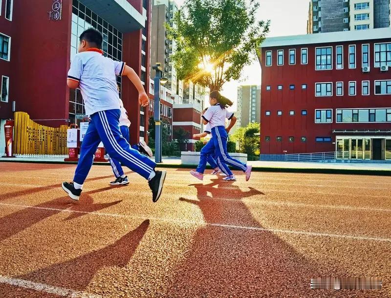 中小学禁购教辅资料真能缓解学业压力吗？

单纯减少考试只是治标之策。在现行中高考