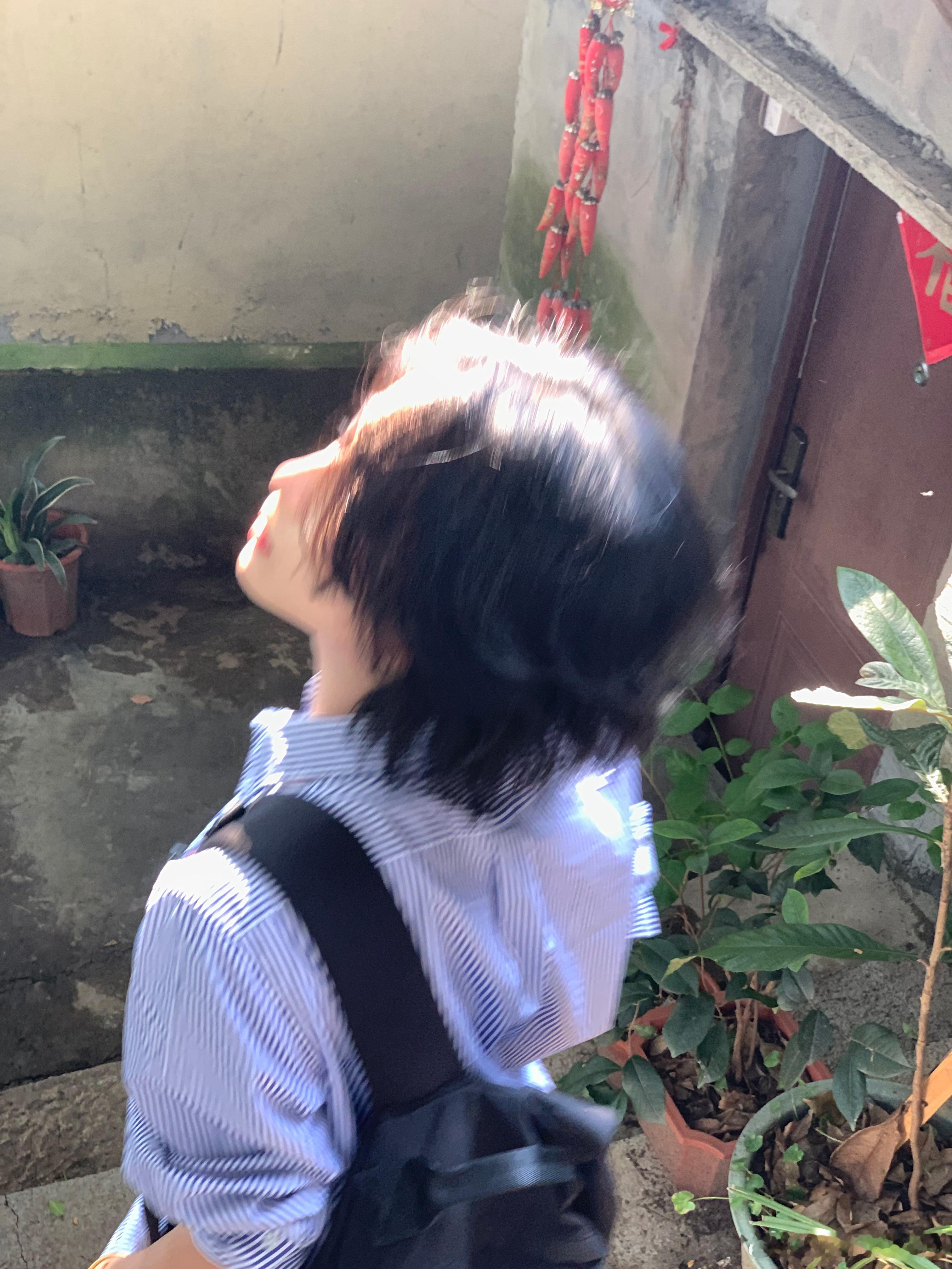 🌳 ​​​
