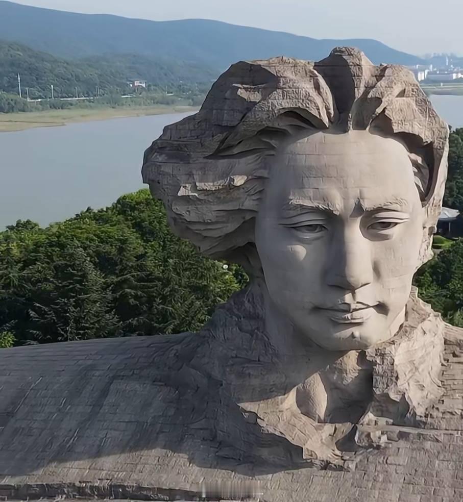 我评论里看到的一张图片。这个角度真好，教员的肩膀在山水间像一条路，特别坚固。这个