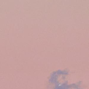 每日一善  纵使当下迷茫疲惫、前路坎坷，人生总有一段路要独自熬过，总有一段岁月满