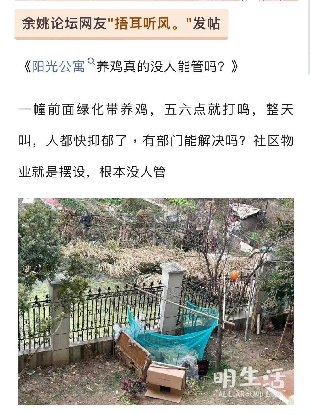 余姚一小区有人养鸡早晨五六点打鸣 ，这不会是安置房吧？余姚论坛网友"捂耳听风"发