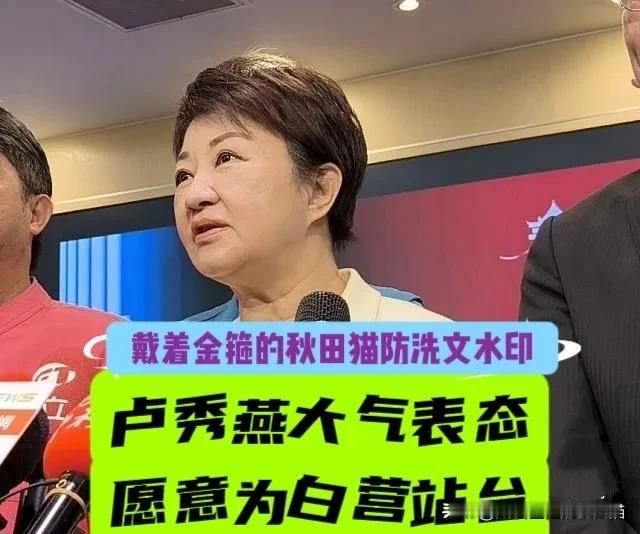 蒋万安辅选行程满档引夸赞，卢秀燕也大气表态：台中蓝白一家亲，时间允许我也帮白营站