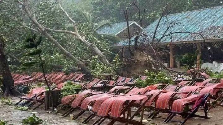 中国女游客被砸中身亡！女儿崩溃：原计划次日回国，“刚退休的年纪，没想到意外快了一