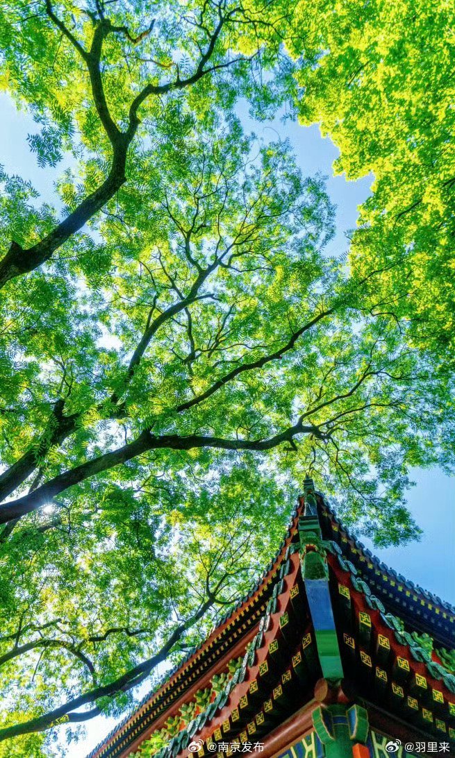 阳光信用🍀🍀🍀阳光信用 每日‬一善  晨曦洒向山川，蝴蝶破茧于繁花间，海浪