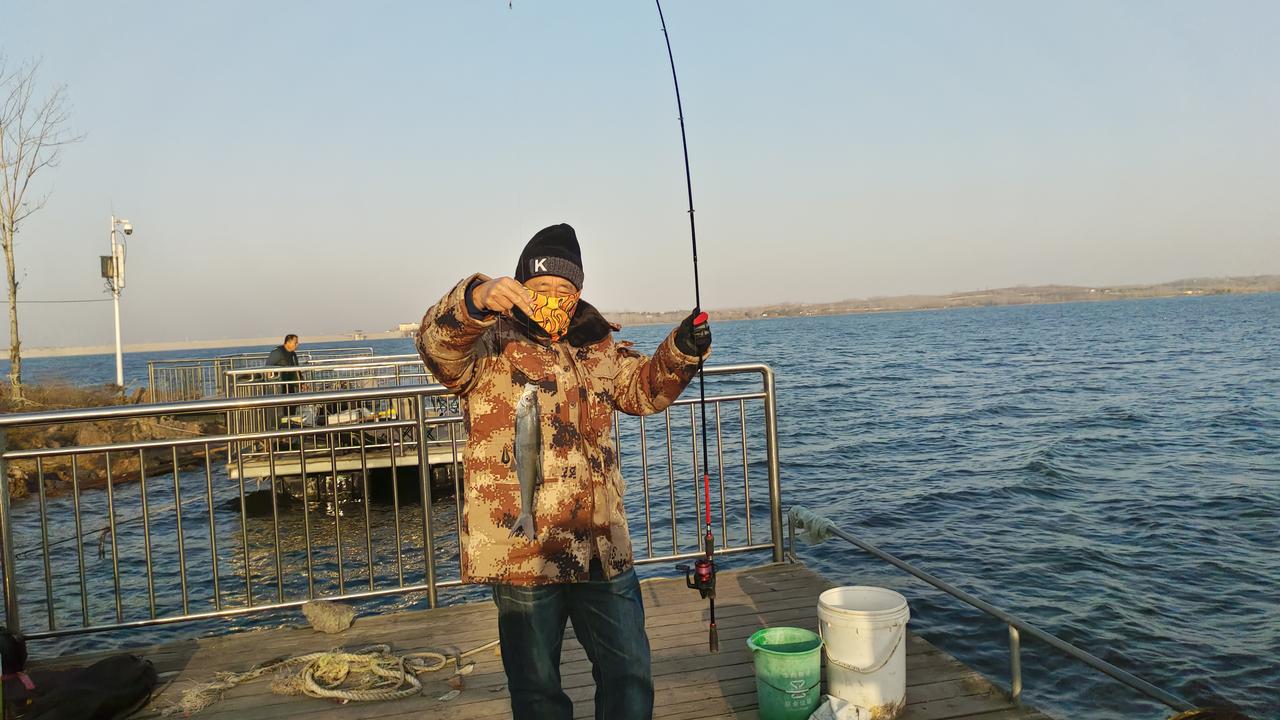 今年冬天来了一场说走就走的旅行。回来二十多天了，来做个总结。

第一站，山东周边