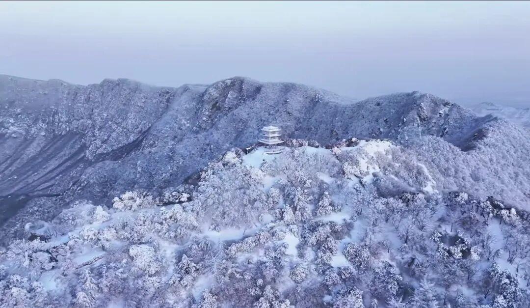 河南将迎大范围暴雪，
气温“过山车”来袭
 
1月16日河南暖意尚浓，郑州气温曾