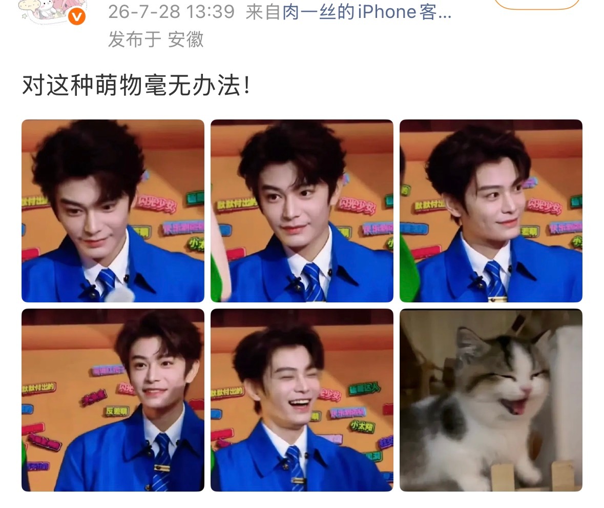 🐸也能把自己比喻成猫了