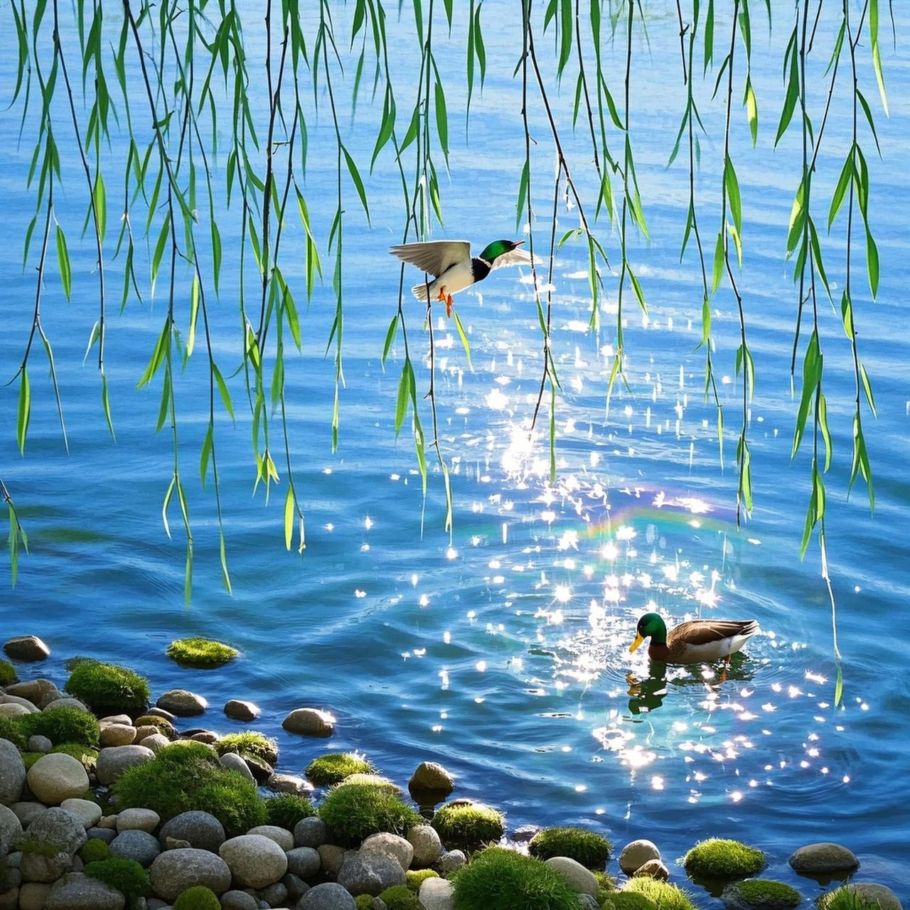 上联：岸柳轻飏风倜傥；

（题图来自网络）