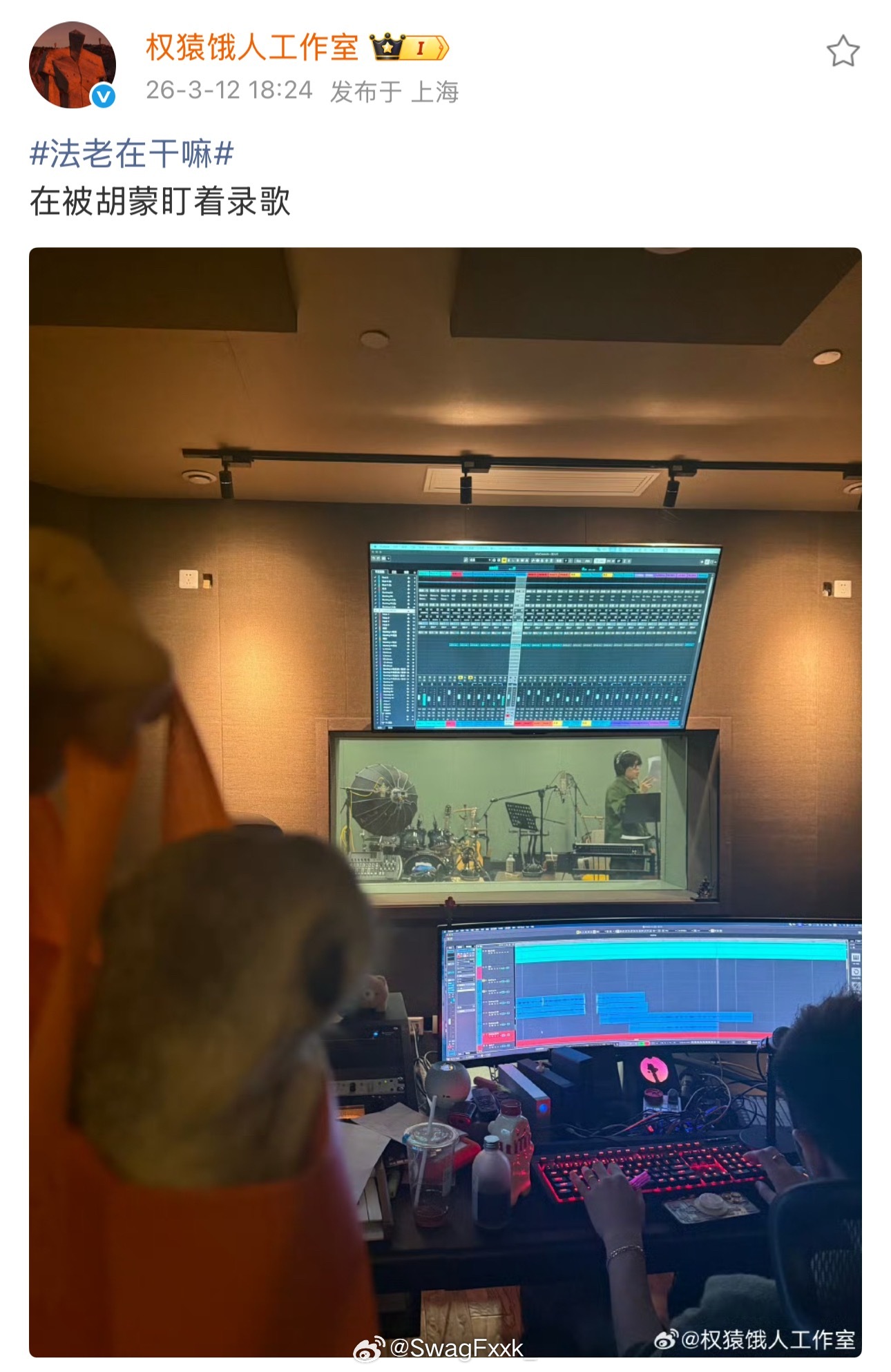 法老被自己的宠物狐獴盯着做歌中！法老