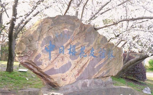 我国暂停中日地方友好活动，引起外界关注，日本深感遗憾。

这项活动从1988年开