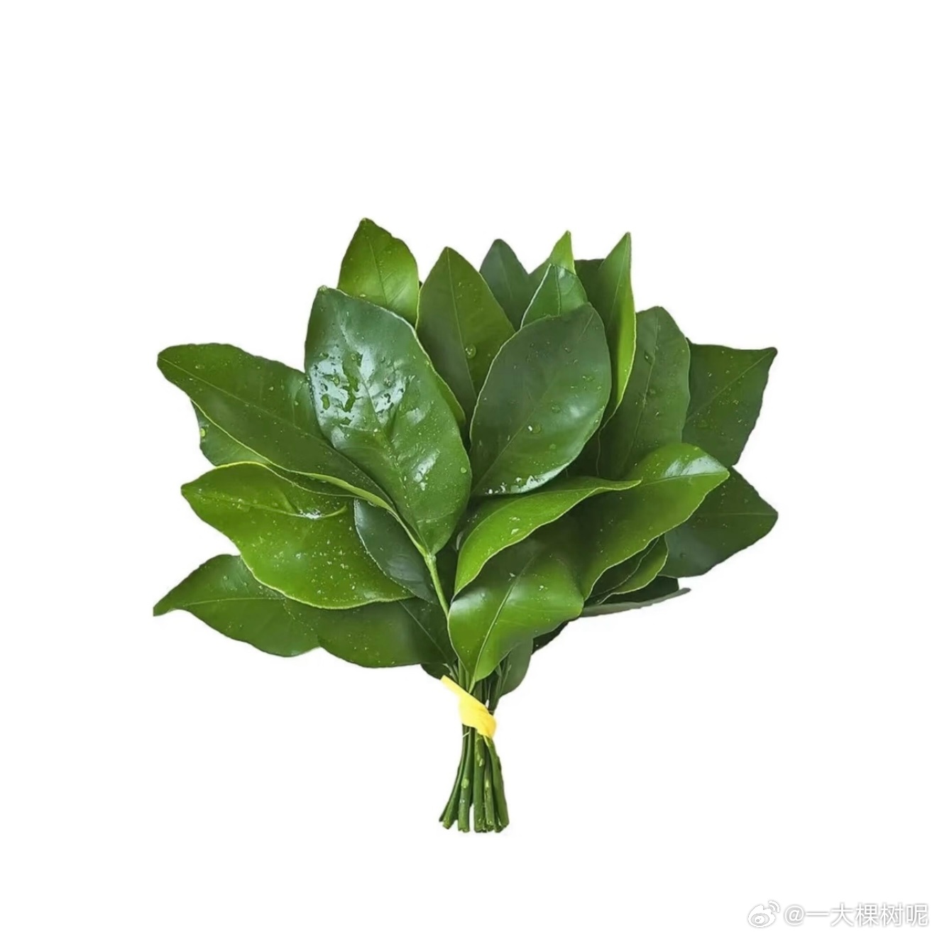 阿弥陀佛 去个霉运先 请善待你我他 