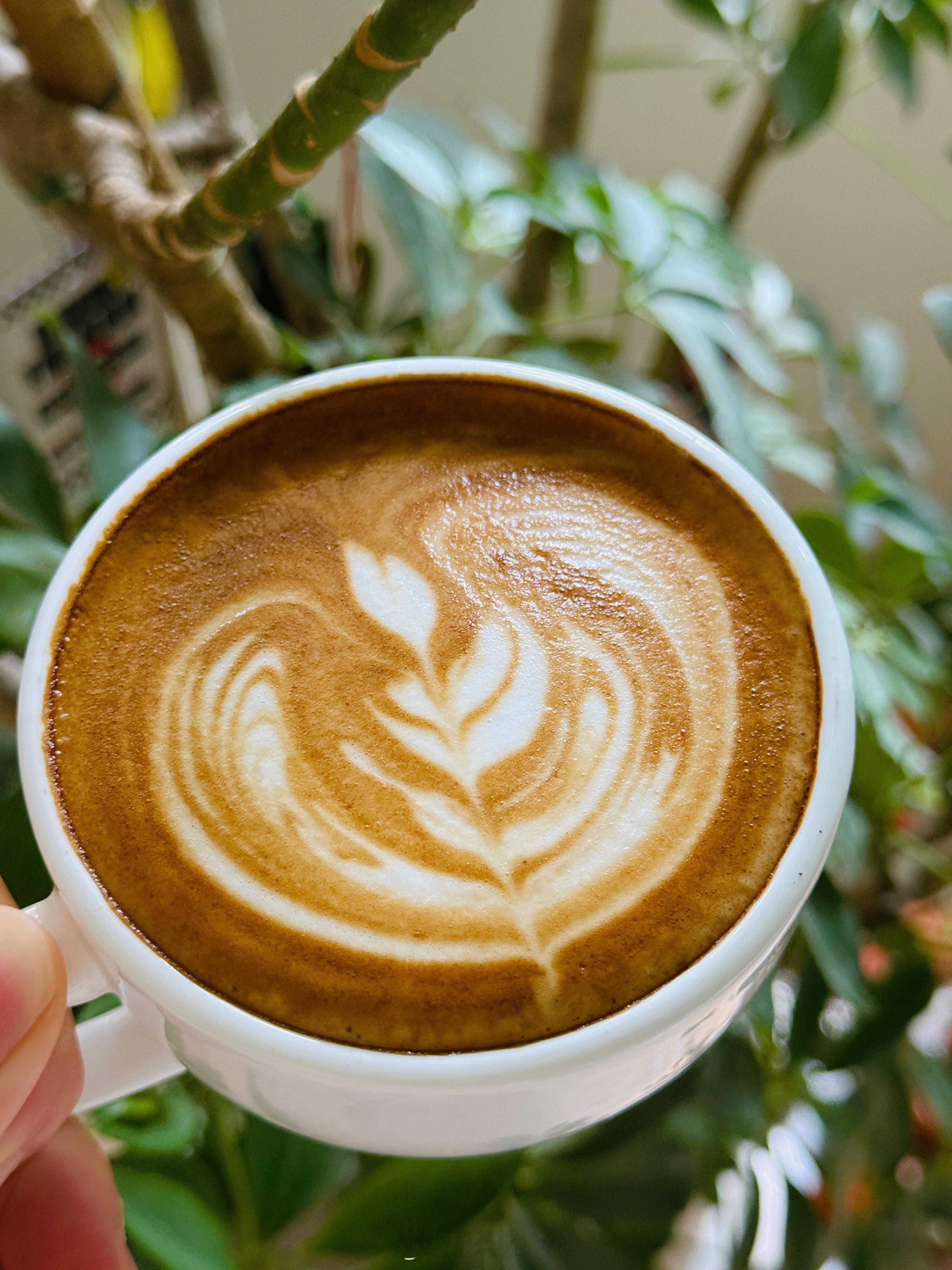 ☕️ 吃完午餐的☕️ 喝了没 ​​​