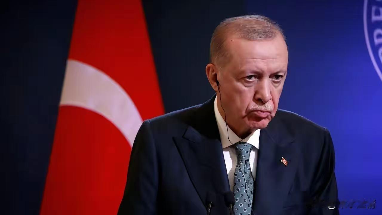 土耳其消息！
4月28日凌晨，土耳其博斯普鲁斯海峡突然堵了！一艘148米长的集装