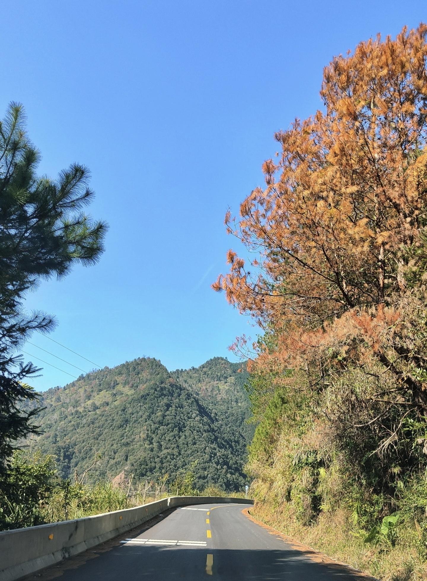 以前我是铁赶路派，导航预估三小时我就想两小时四十分钟到，后来慢慢从赶路派变成了看