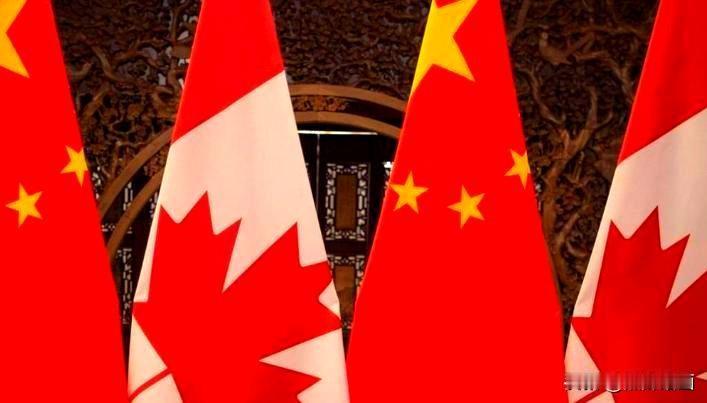 ：
 
一、中国企业核心影响
 
1. 市场与准入突破：加拿大对中国电动汽车关税