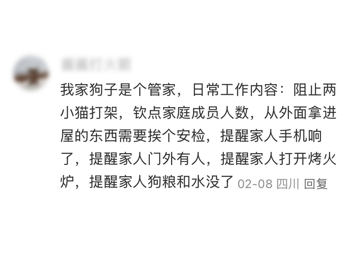 小狗每天在家的工作好忙啊，也太负责了[鼓掌]一定要把工作和生活做好分割啊，工作是