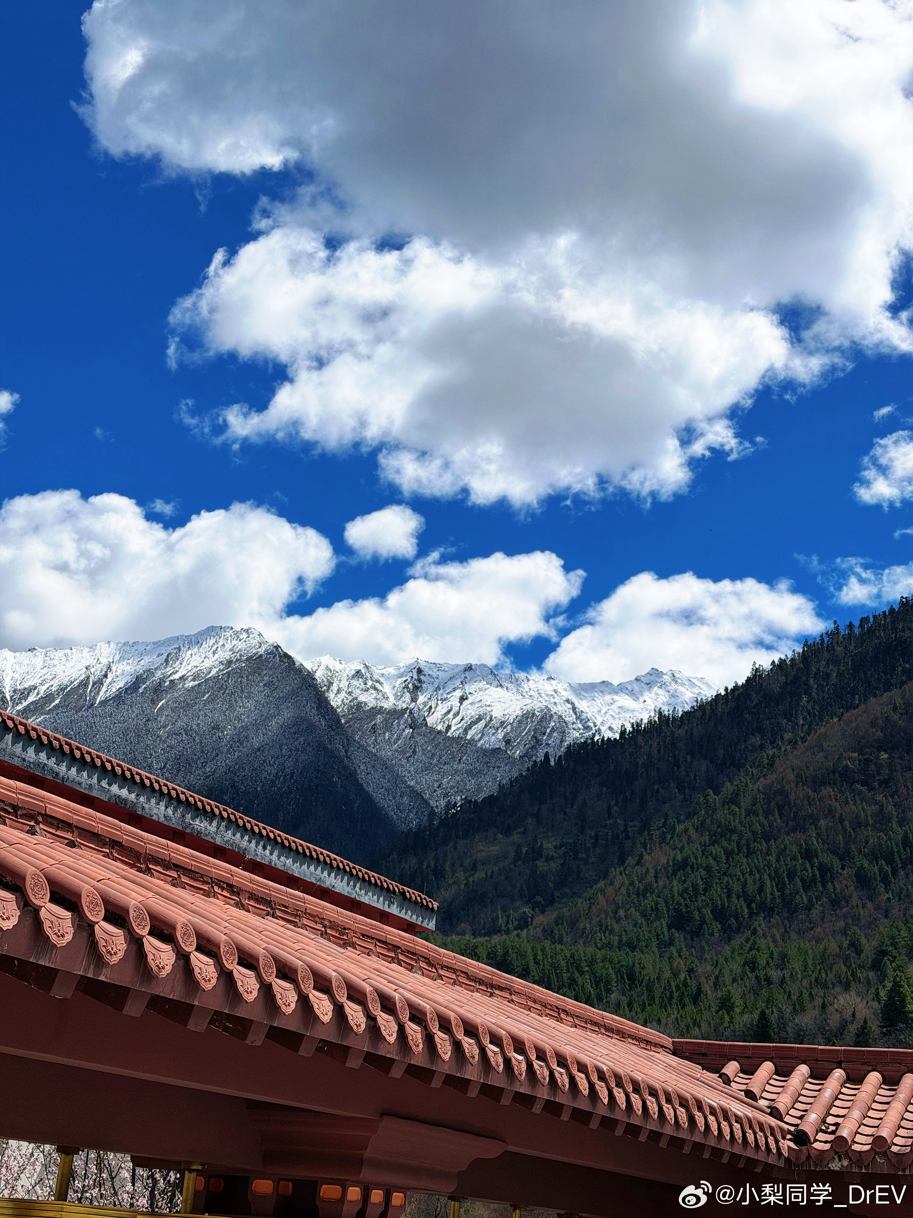小梨日常 第一次来西藏在林芝开车对眼睛十分友好！！这景这车很难不出片！！问界M6