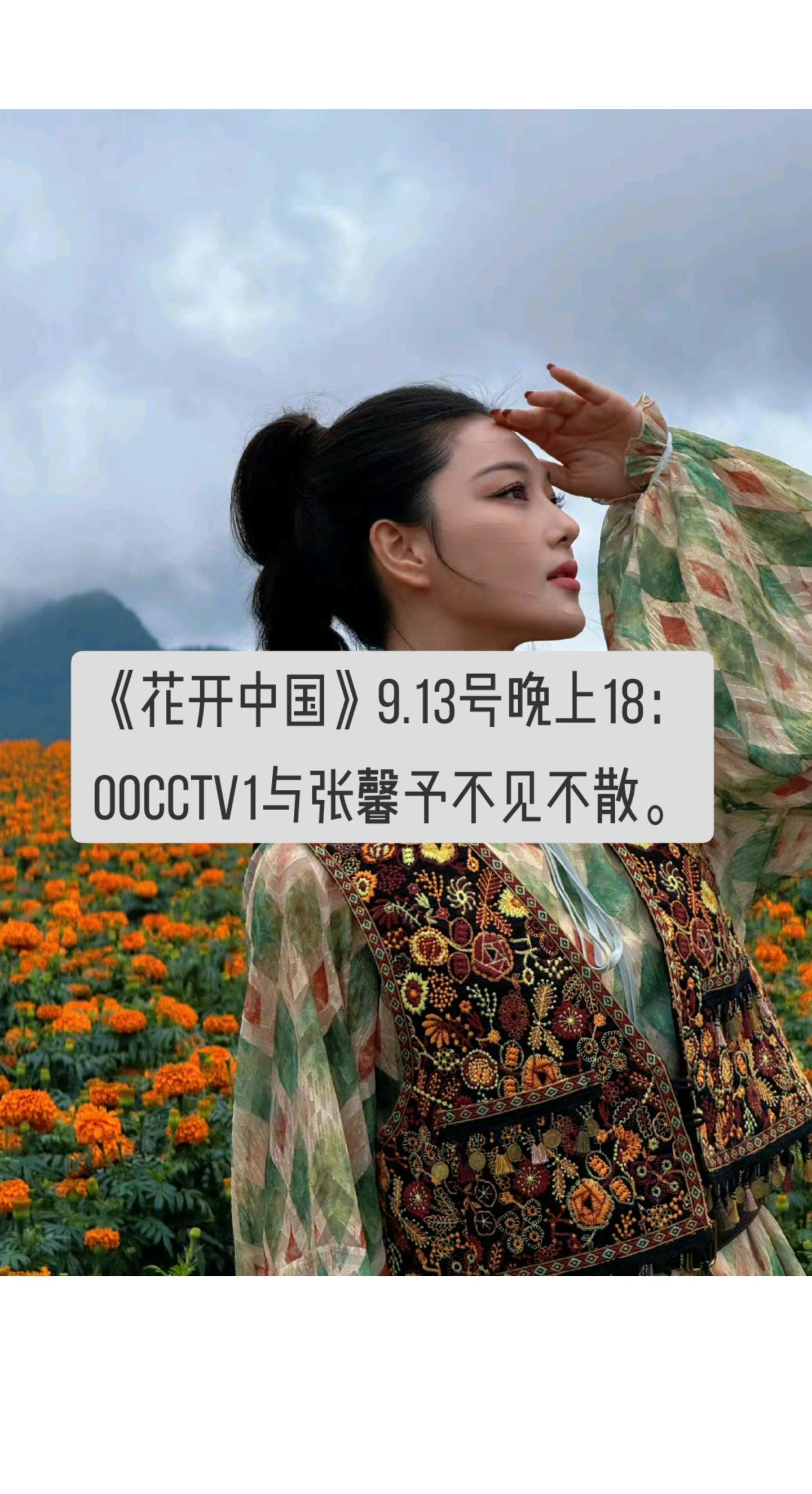 我评论了 的作品: 《花开中国》9.13号晚上18：00cctv1与张...