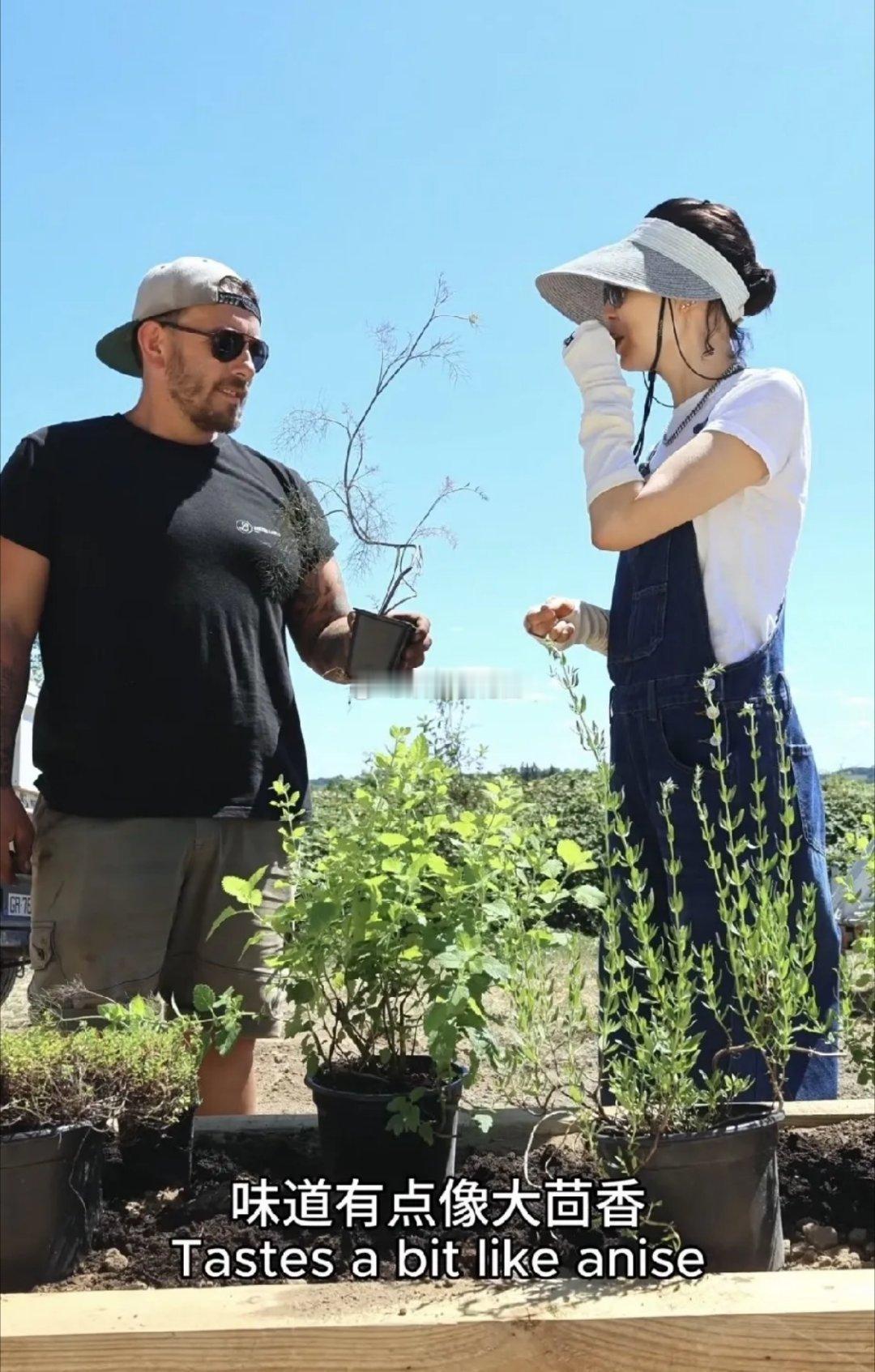 女人退休后顶级的活法并不是游山玩水，而是有块地种花种菜享受收获的喜悦！60多岁的