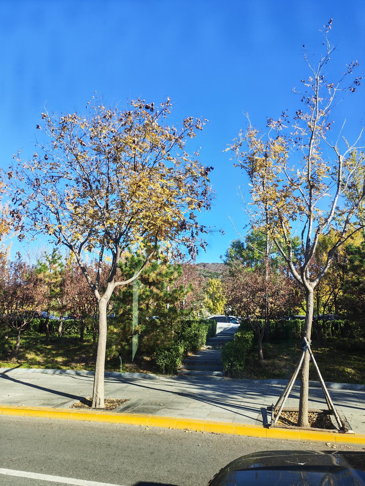 岁至立冬，万物开始一场静默的修行。
人生就是让自己变厉害的过程，谁也不能替你变厉