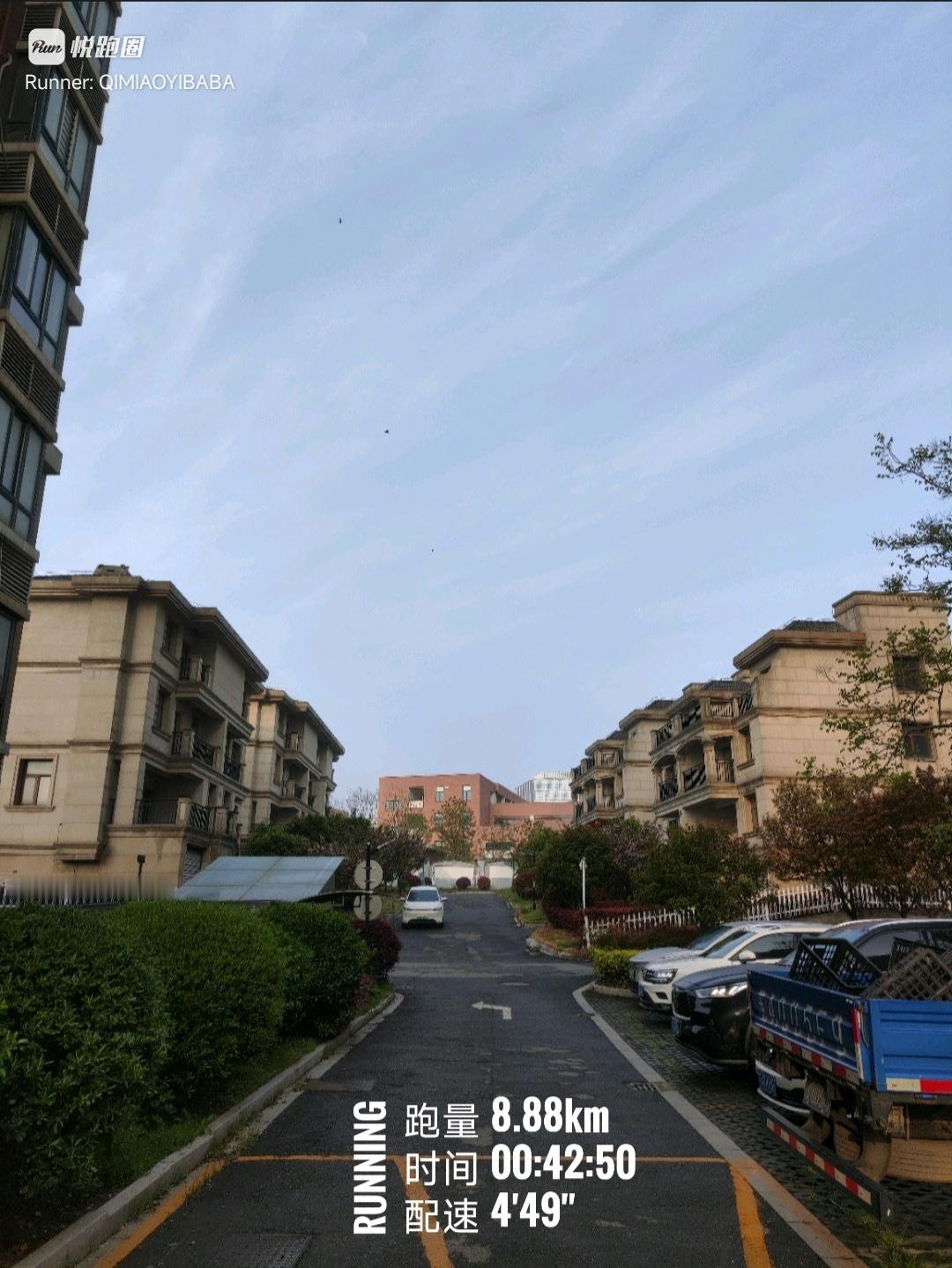 同学们早ﾉ☀一周五天可以发生什么？路边桃花全不在，梧桐亭亭如锅盖