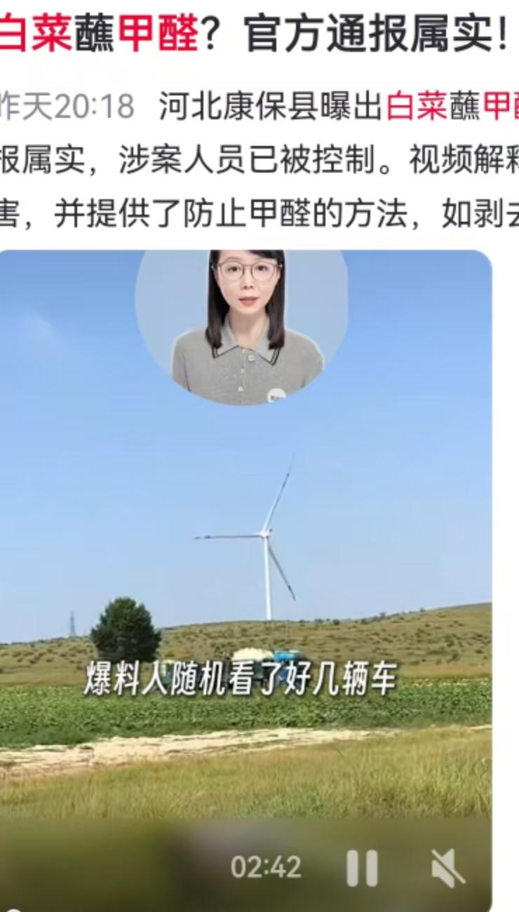 8月22日，对于河北张家口康保县屯垦镇的菜农来说，原本应该是个普通的日子，却因为