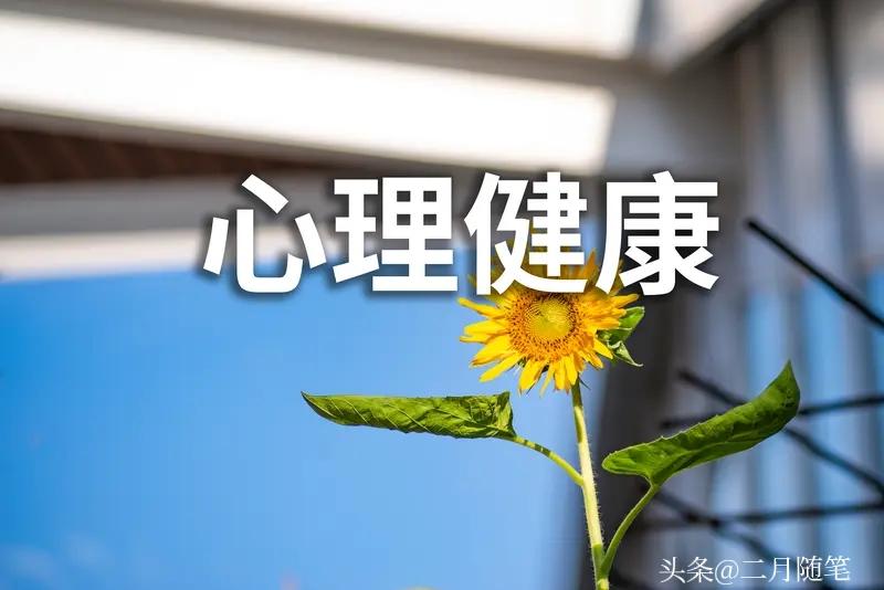 打开心
让烦恼走出去
抬起头
曙光就在眼前
要乐观要向上
接纳自己
生活处处温柔