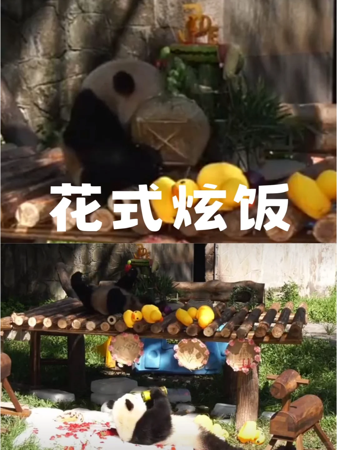 可可爱爱吃饭太香了