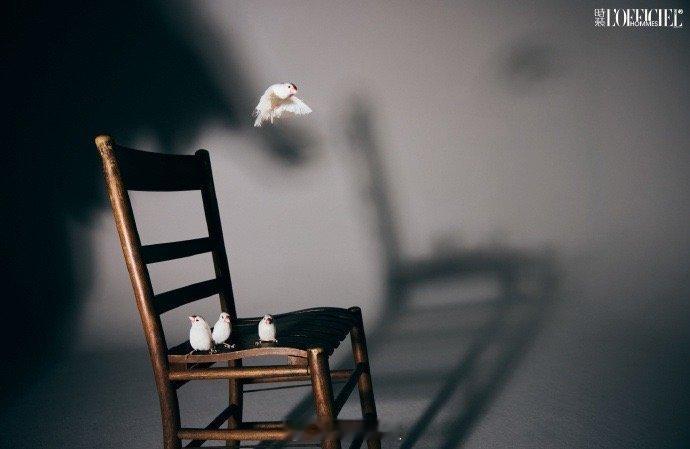 刘宪华肩膀上有只鹦鹉 刘宪华的温柔刻在骨子里，和肩头小鹦鹉同框，每一幕都好治愈人